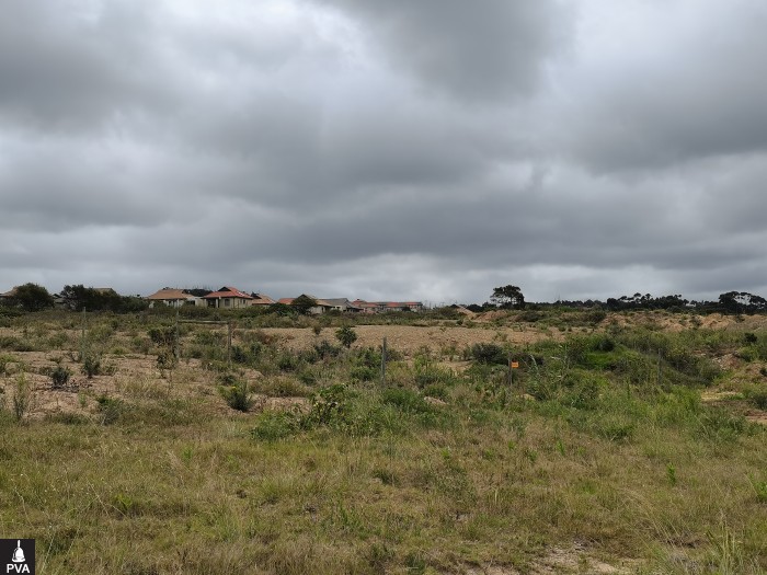 UMLELE (8).jpg