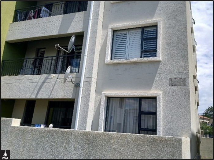 pic 7.jpg