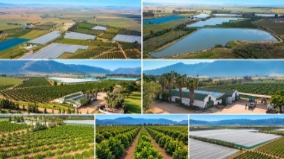 MORGAN CREEK GELUKSWAARTS (PTY) LTD (IN LIQUIDATION)